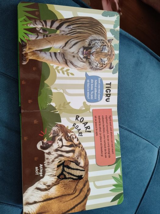 Carte mangaie, simte si asculta