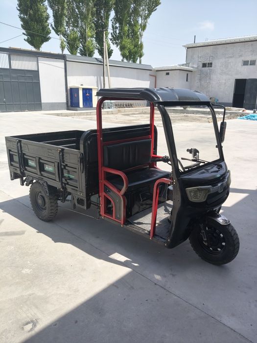 Electronic skuter