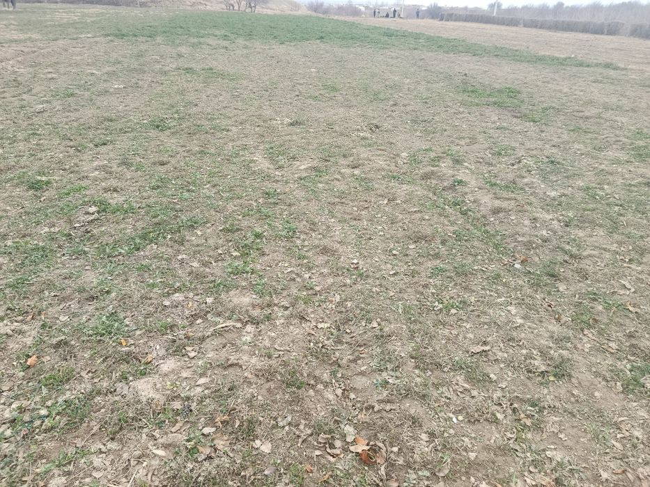 Uy hovli sotiladi katta tomorqasi bn