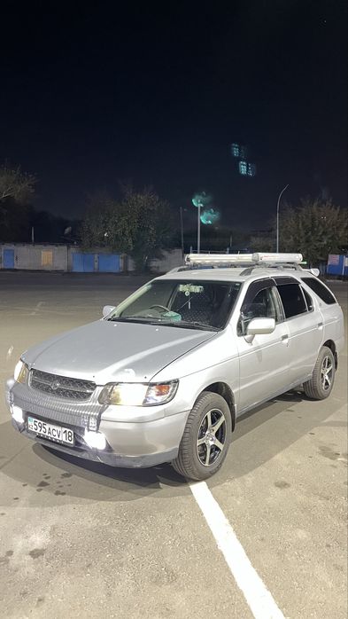 Продам живой корабел