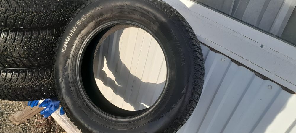 Зимные шины с шипами