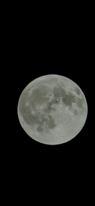 Srochna Huawei Mate 50 Pro sotiladi obmen ham bor redmilarga