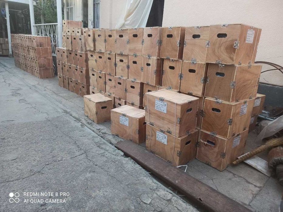 Электродвигатель (Elektrodvigatel)