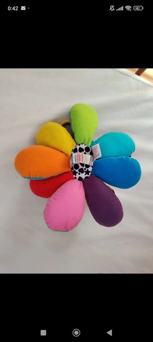 Caracatita interactiva