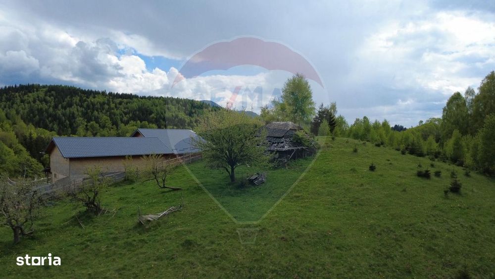 Teren 3,821mp Dambovicioara
