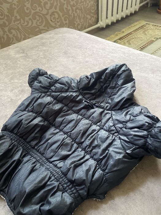 Одежда для собак