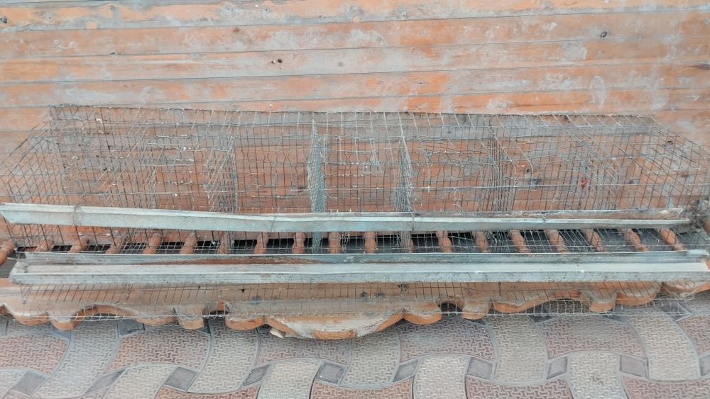 Tovuq setka qafas sotiladi tovuq boqishga