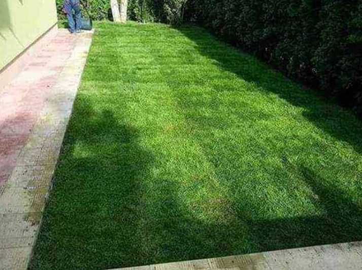 Sisteme de irigatii si Gazon Rulou