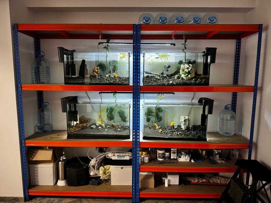 pachet acvariu complet cu filtru, incalzitor, co2, butelie, led