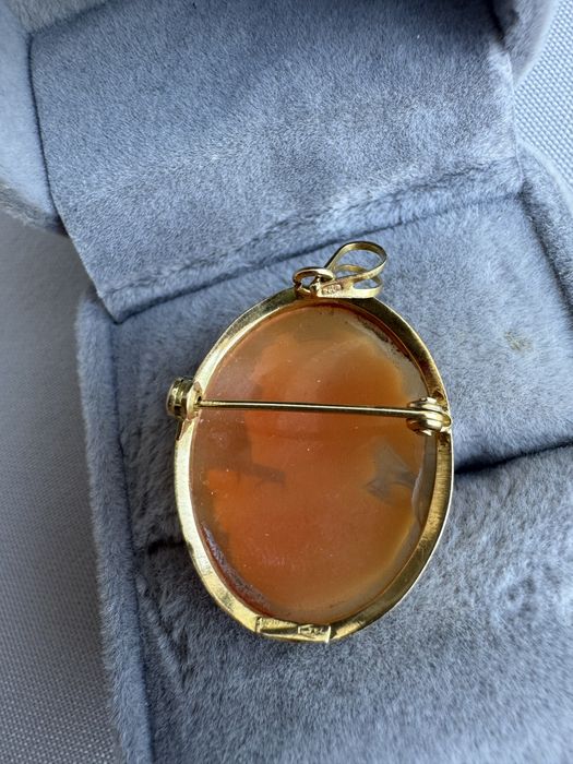 Brosa/pandantiv din aur si camee