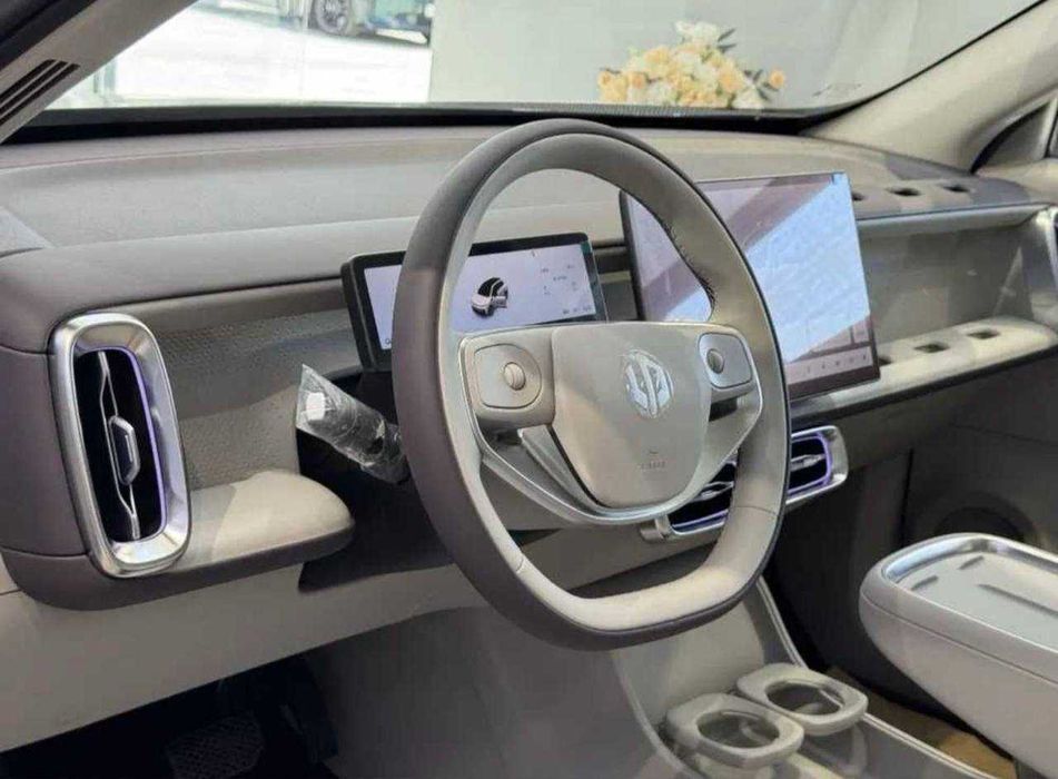 leapmotor c11 halol nasiya