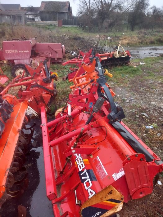 Freze de pământ japoneze aduse recent im țara