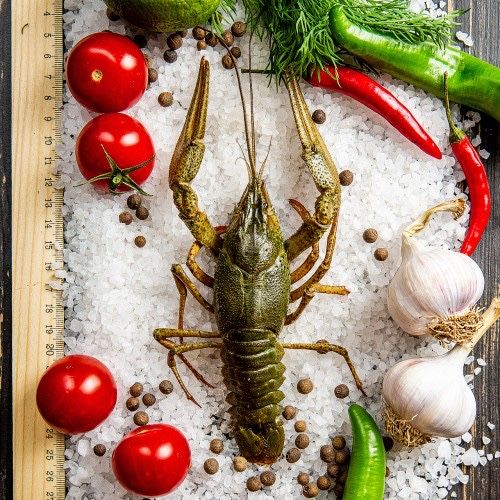 Живые крупные раки, в наличии