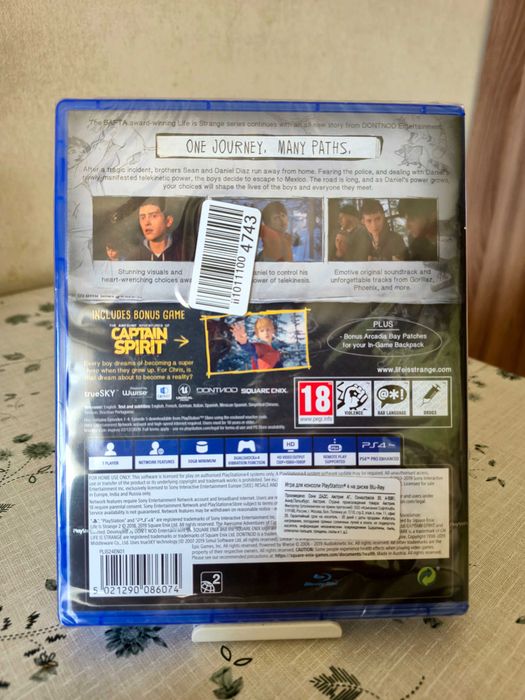 Life Is Strange 2 на PS4, PS5 (новый)