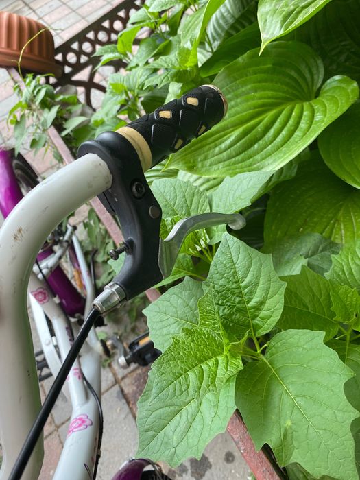 Велосипед  Viva Sandy 7-12лет.