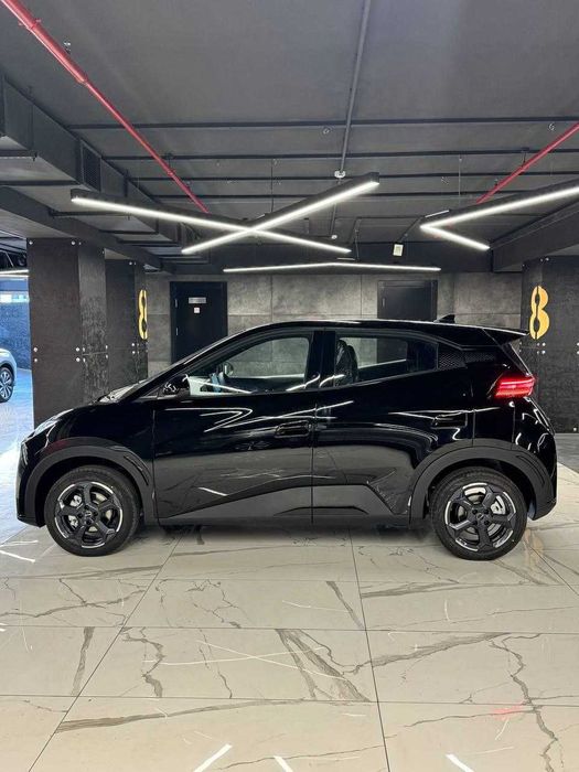 BYD SEAGULL 405KM Flying 2024 от Официального ДИЛЕРА BYD ROHAT