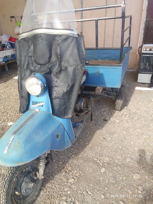 Муравий кук ранги