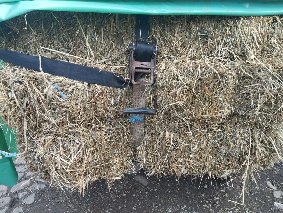 Fan de vanzare gradina