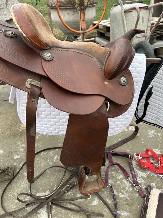 Șei/Căpestre pentru cai