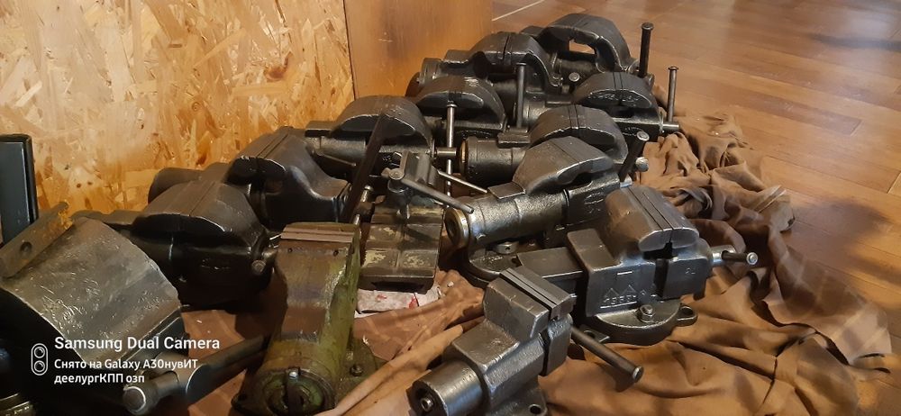 тисы средние СССР