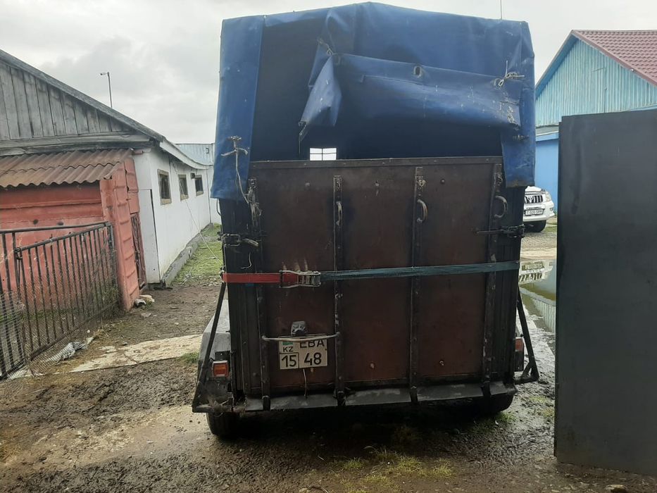 Прицеп коневоз легковой