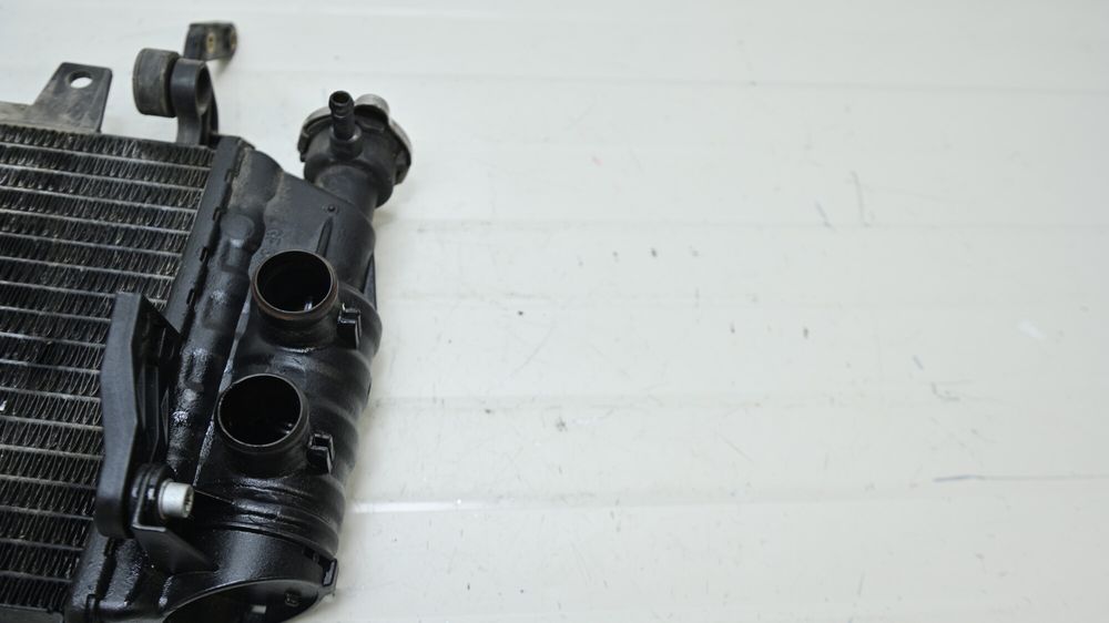 Radiator Apa si protectie BMW F700GS / F650GS / F800GS  2012 - 2016