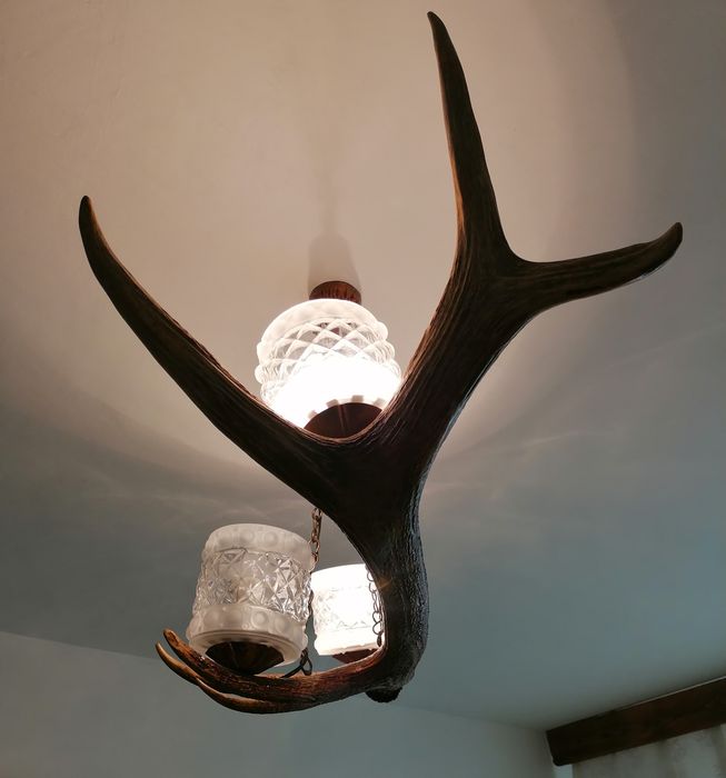 Vând candelabru corn cerb autentic