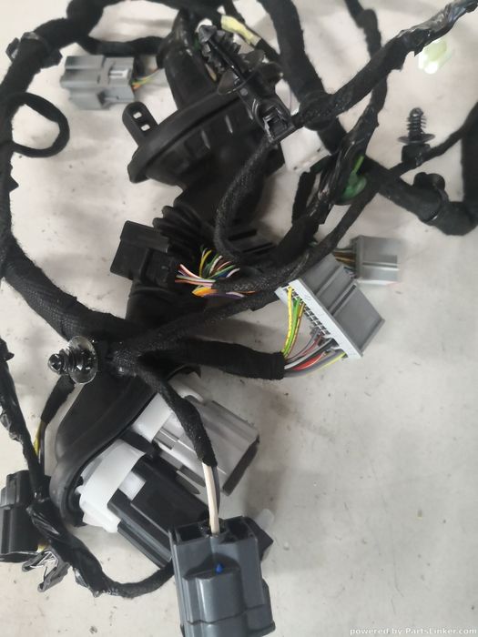 Instalatie Electrica Usa Dreapta Fata Ford Focus Iv (Hn) [ 2018 - > ]