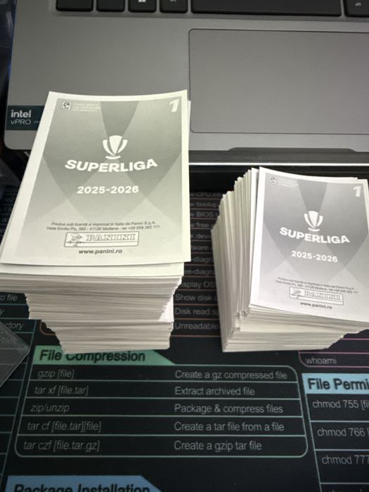 Panini Superliga Romaniei Stickere dubluri