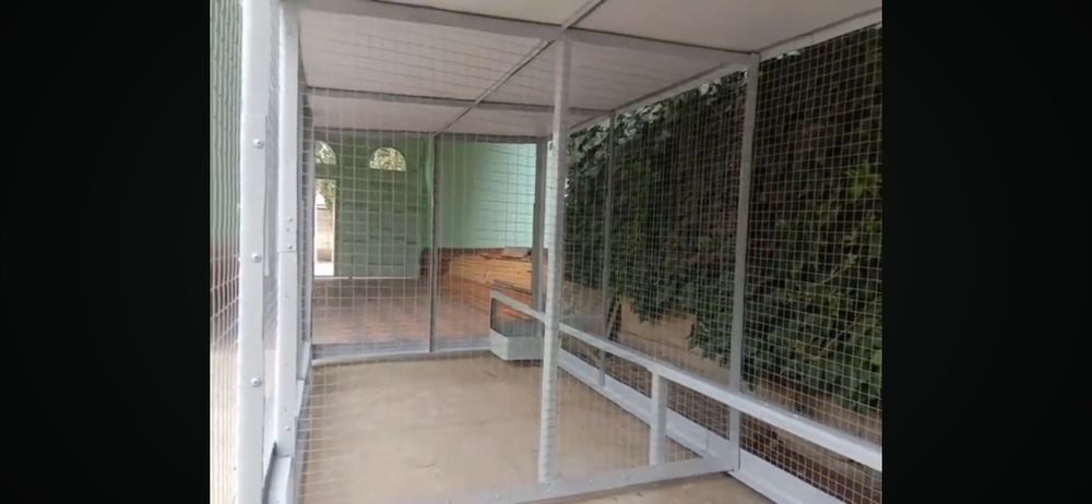 Куй ва Товуқ катак