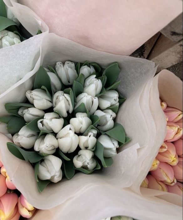 Тюльпаны в розницу Астана