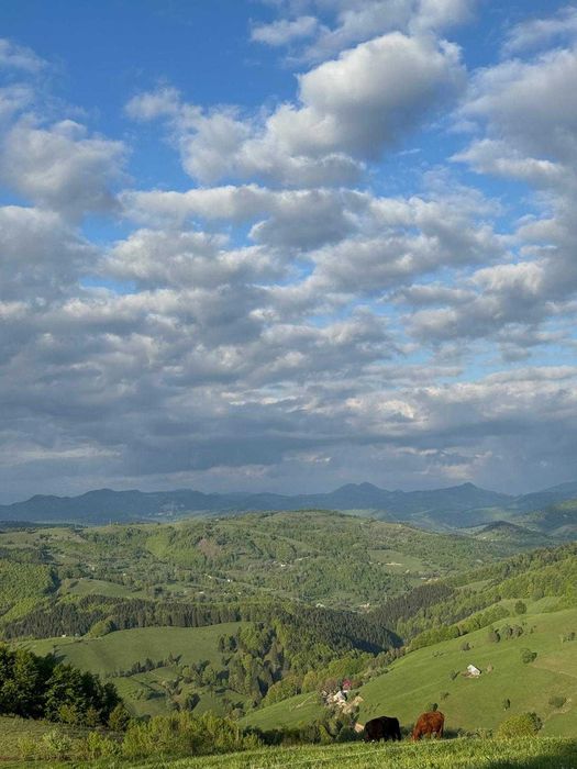 Casa/cabana (cu ciubar) la munte - de inchiriat