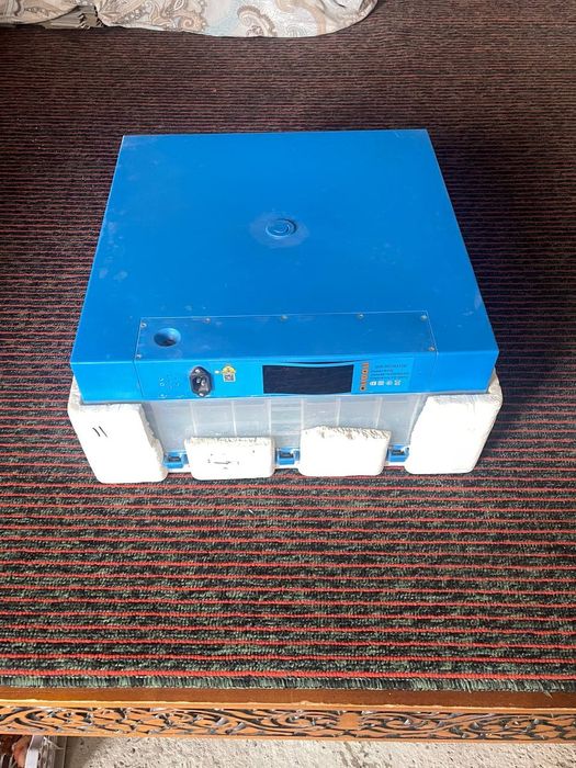 inkubator 64 tali avtamat