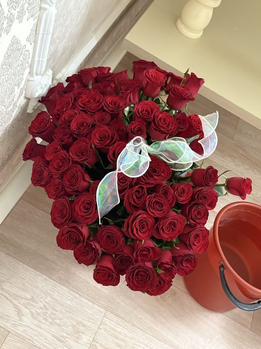 51 роза б/у свежие