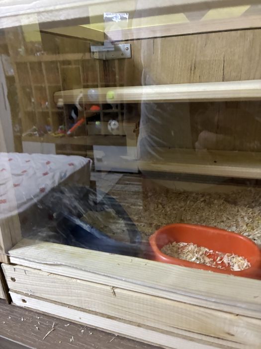 Hamsteri si cusca completa spatioasa