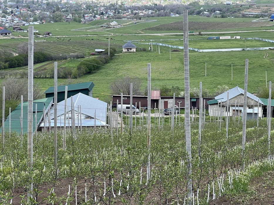 Продам Фазенду в талгаре