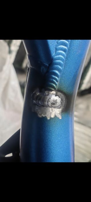 Bergamont Trailster 6.0 2017