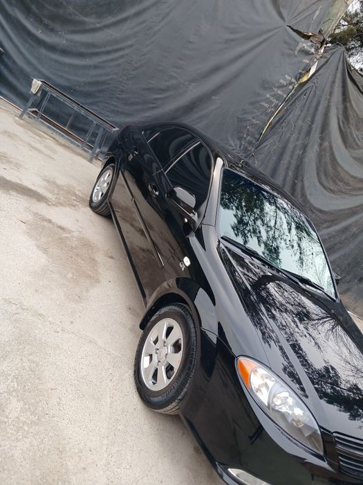 Jentra qora gbo elegant plus