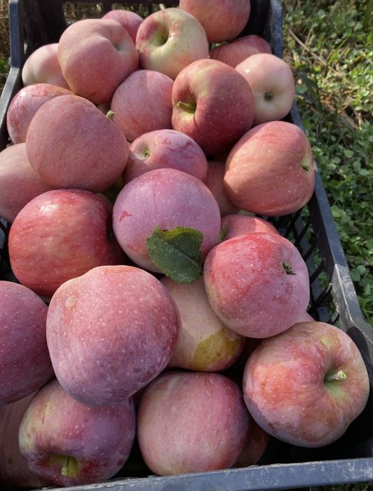 Vand suc de mere natural