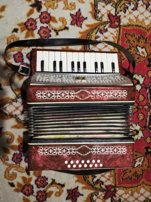 Vand acordeon copii