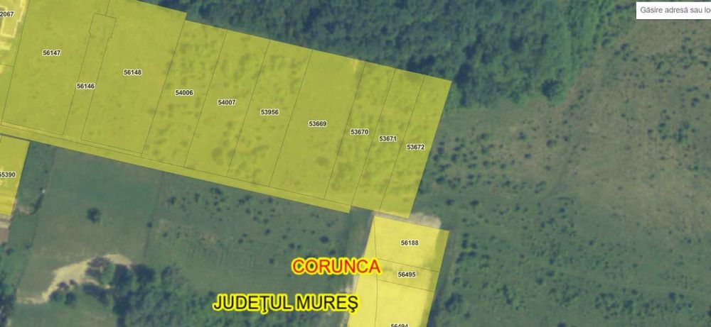 Teren de vânzare – Corunca Zona Valea Iubirii Coordonate GPS: 46.509002, 24.641028