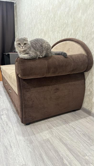 Продам диван, в хорошем состоянии.