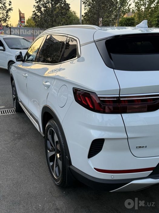 Byd Song plus 2024
