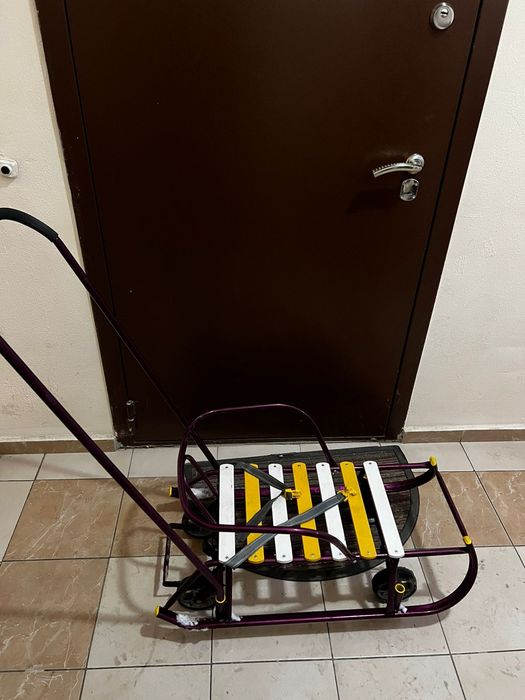 Сани| шана для детей