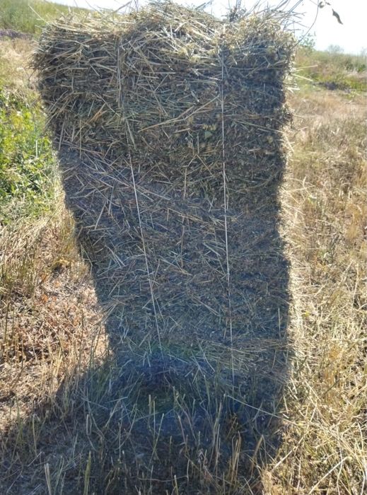 Жонышка клевер шоп пресс