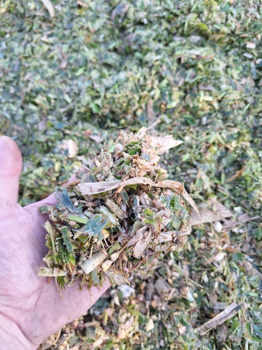 Siloz Porumb 200 tone furaj