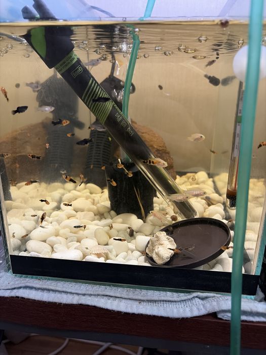 Продам два аквариума со стойкой