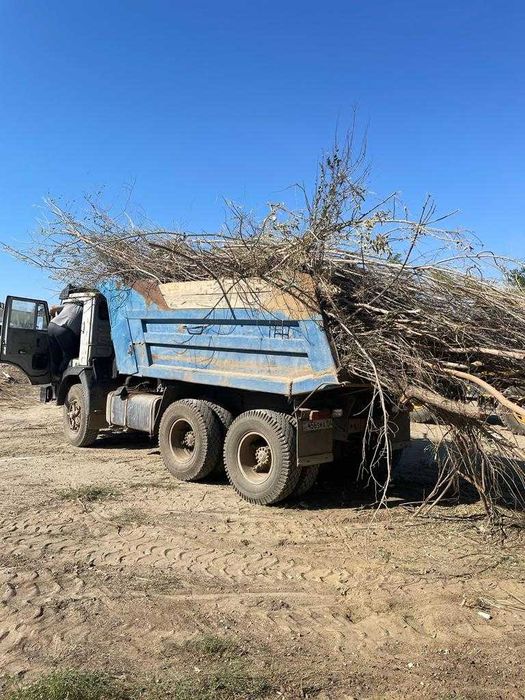 Спил обрезка аварийных леревьев