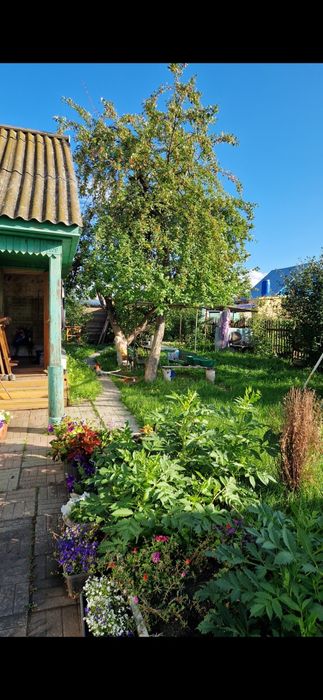 Продам дачу в с/т Локомотив