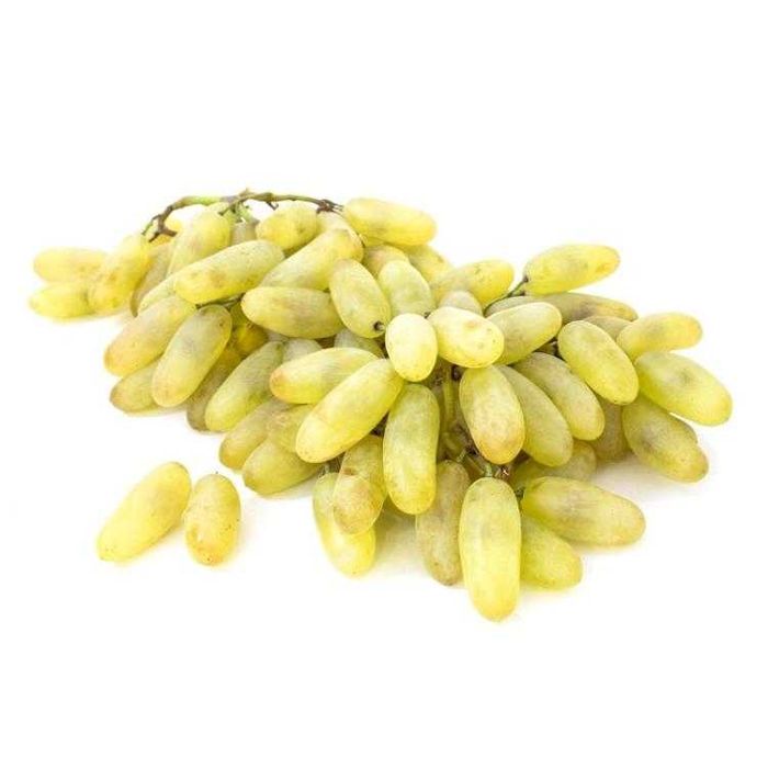 Optom va dona dexqon qo'lidan mevali ko'chat